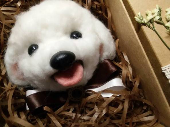 没有犬棕 白色看这里