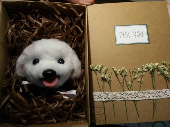 没有犬棕 白色看这里 第1张