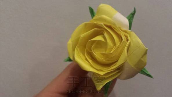 整形太渣。。。毁了整朵玫瑰。。。 第2张