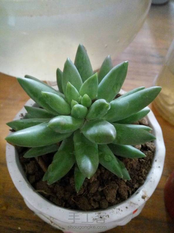 好看吗