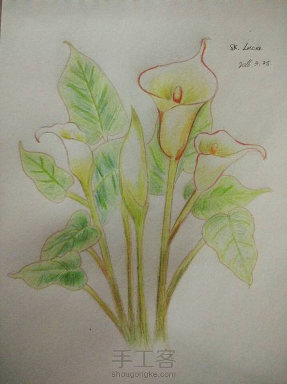 24色尽力了。颜色不好覆盖。还是黑白的好看