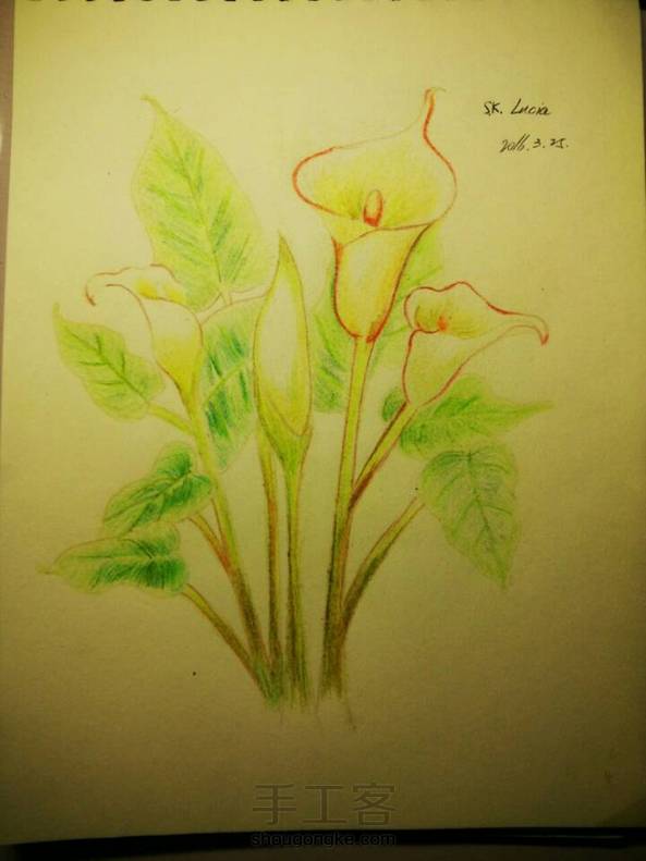 24色尽力了。颜色不好覆盖。还是黑白的好看 第1张