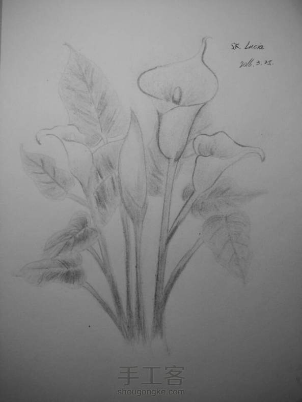 24色尽力了。颜色不好覆盖。还是黑白的好看 第2张