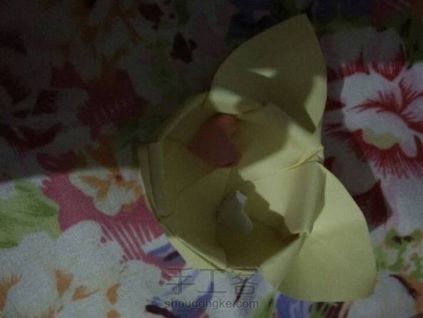 好看吗？ 第1张