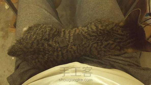 此圈献给大晚上陪我开槽的喵 第2张