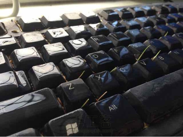 快来看发芽啦，发芽啦……在等几天不行在种一批。有点光秃秃的…… 第1张