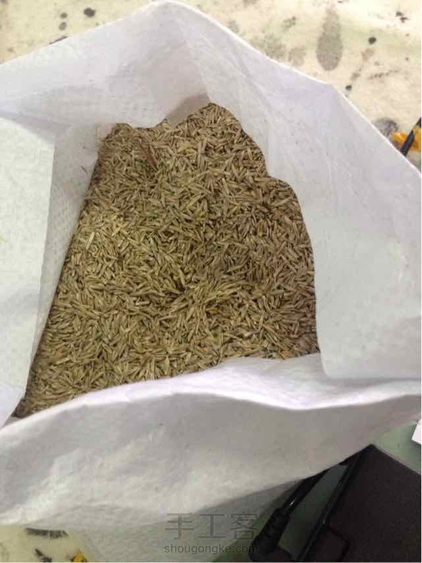 快来看发芽啦，发芽啦……在等几天不行在种一批。有点光秃秃的…… 第2张