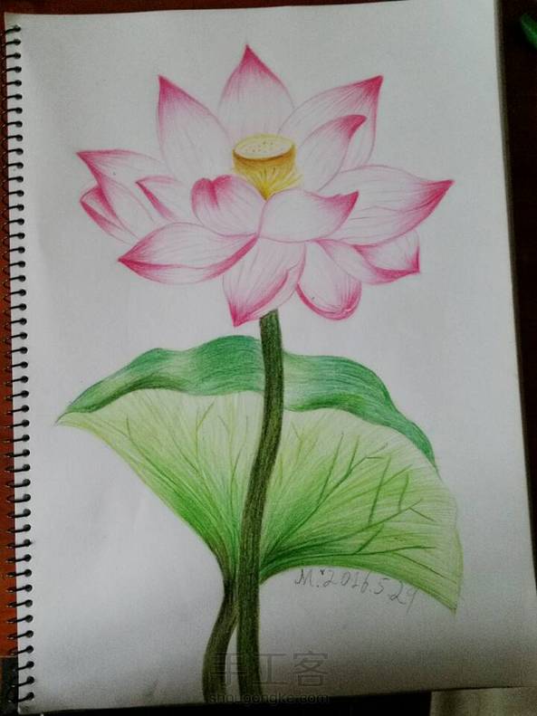 从来不画花的宝宝这次破戒了