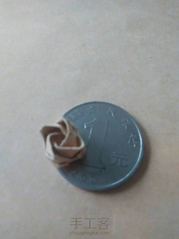 当当当！迷你玫瑰成功出炉～ 第2张