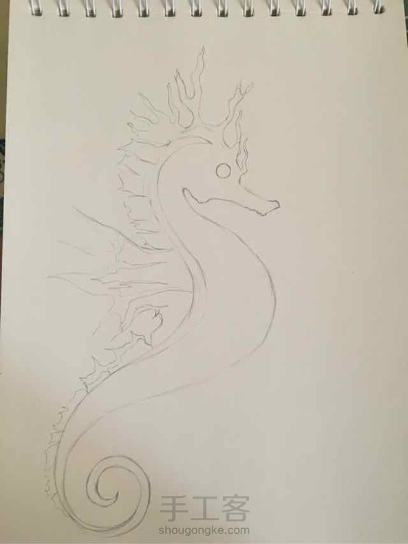 海马～一直对海马的形态有兴趣～前一阵终于完成✅～继续努力！目标是画完一整本！！！😄