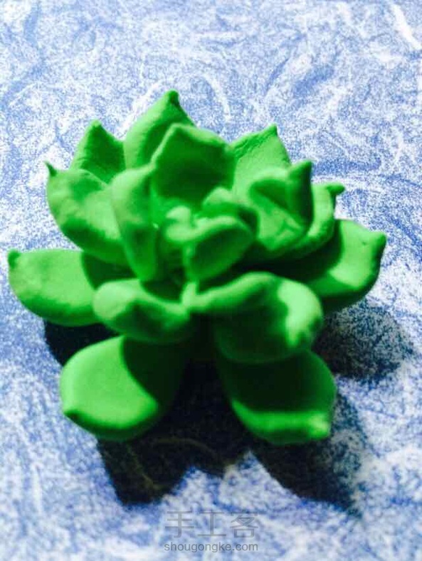  毁容的多肉植物。。。不要骂我