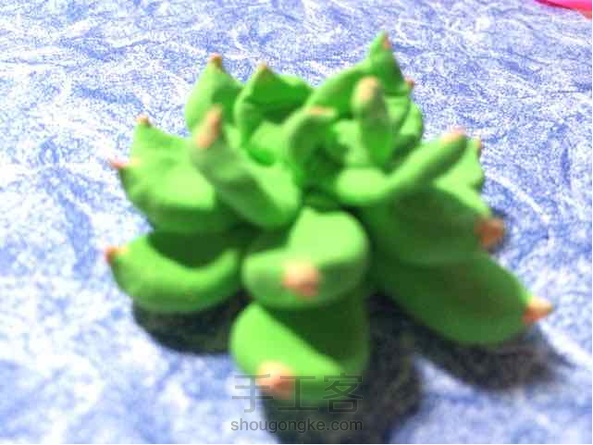  毁容的多肉植物。。。不要骂我 第1张