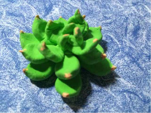  毁容的多肉植物。。。不要骂我 第2张