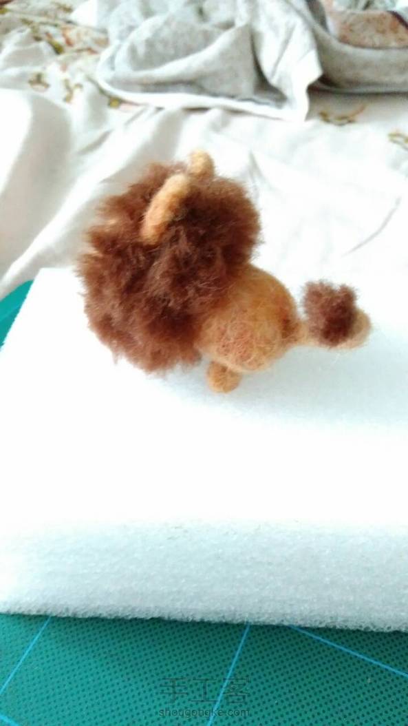 植毛太闹心了，一点都不萌了～😭 第1张