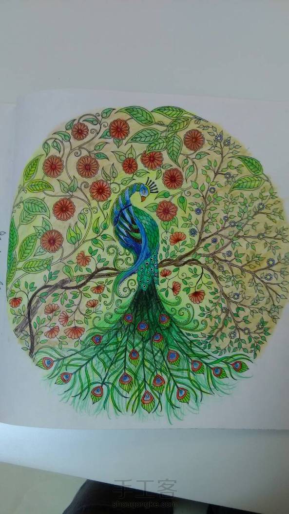 羽毛上的蓝点涂得太难看了o>_