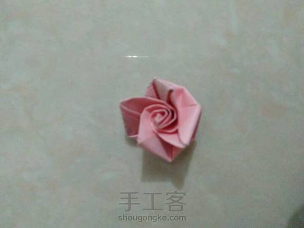 可爱的钻石玫瑰