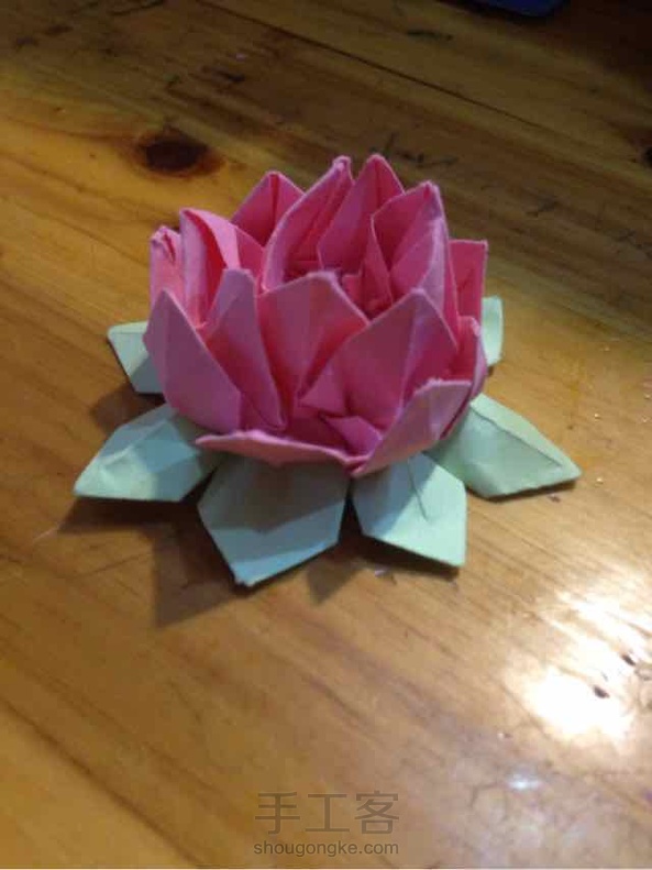 绿色的叶子应该反过来放😉😉😉像这样👇🏻👇🏻👇🏻👇🏻👇🏻👇🏻👇🏻👇🏻👇🏻👇🏻👇🏻👇🏻👇🏻👇🏻👇🏻