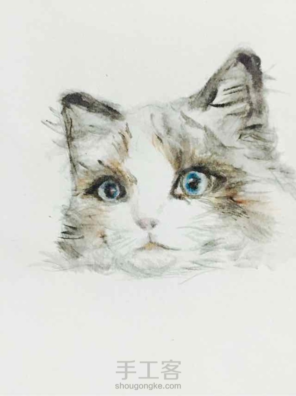 第一次画布偶猫，用了毛笔，没有原图好看QAQ求原谅