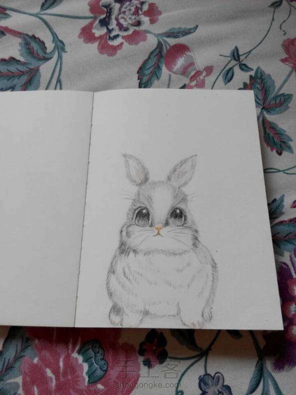 渐变的感觉怎么画  总感觉兔子有点不对