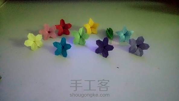 还没有弄花蕊