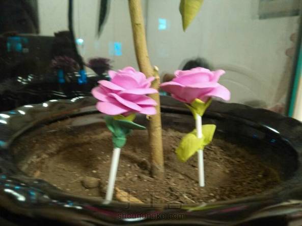 很漂亮吧！用笔芯当作花茎