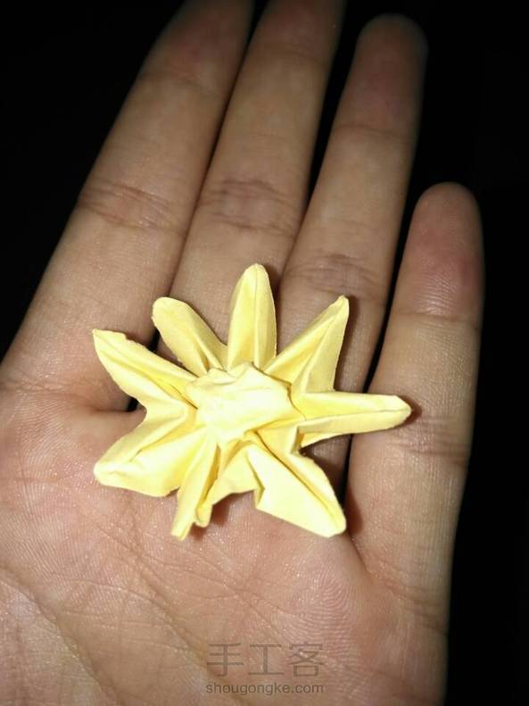 看了然后凭感觉折的