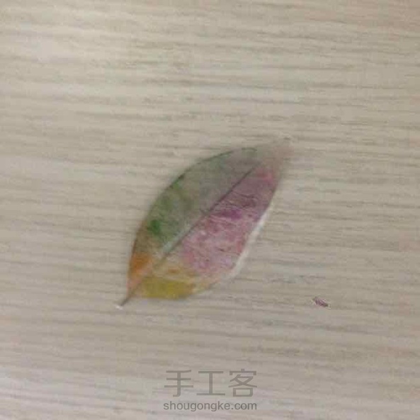 印染树叶书签 第3张