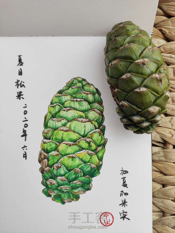 (原创)六月的果实