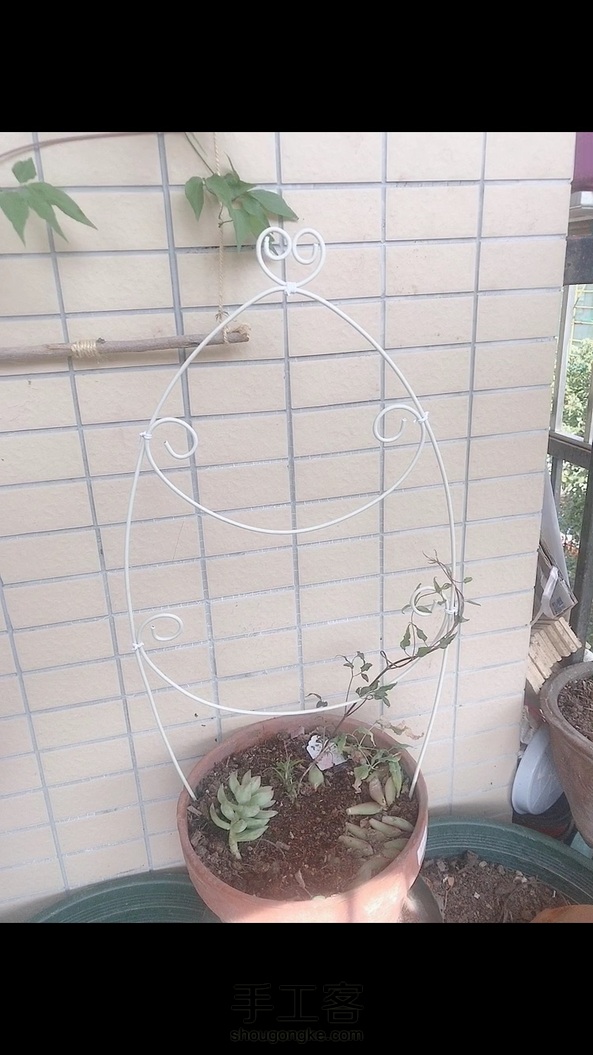 植物爬藤架