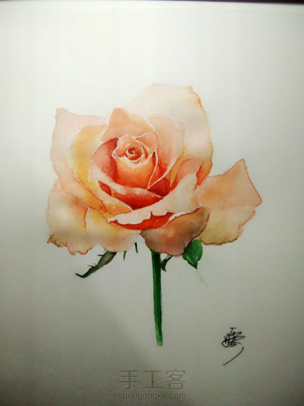 手绘水彩玫瑰