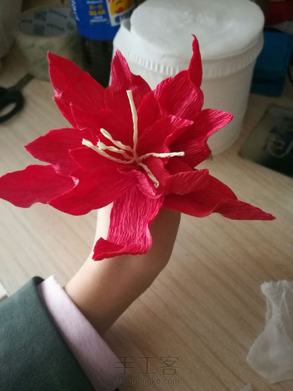 花花。。忘了名字了