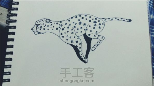 简笔画：奔跑的小猎豹