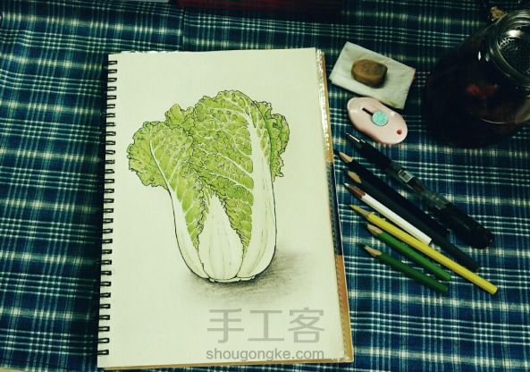 彩铅手绘：一颗热爱生活的大白菜