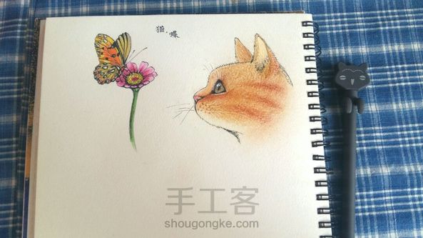 彩铅手绘小花.猫