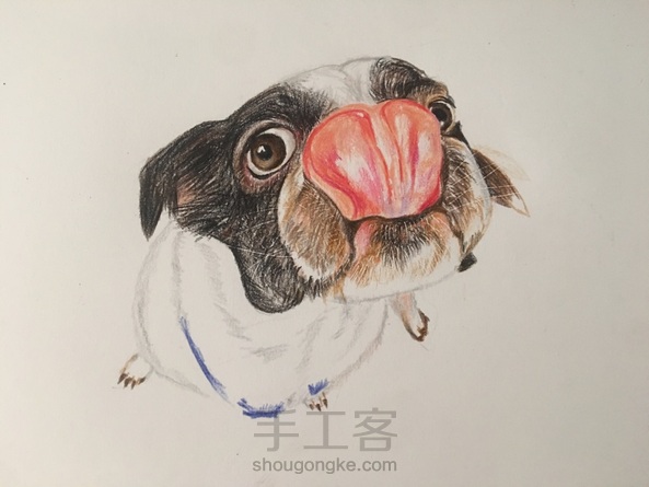 彩铅舔鼻狗