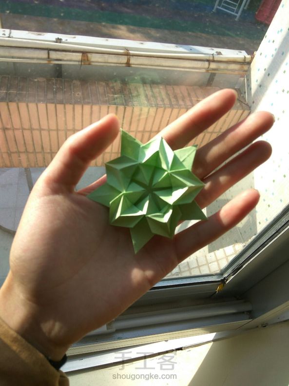 樱花星