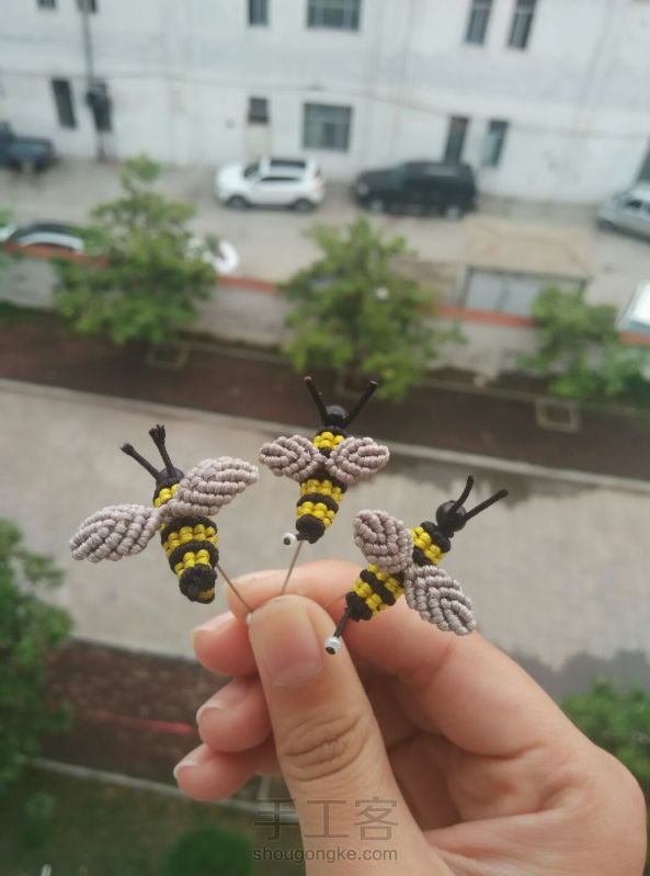小蜜蜂