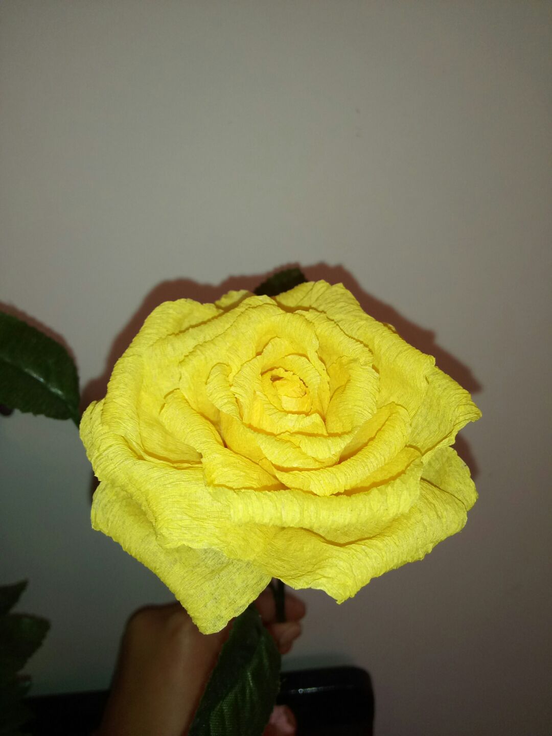 优雅的黄玫瑰 第35步