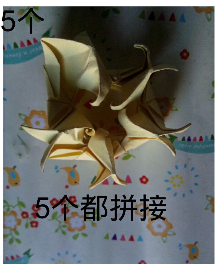 美腻的∠※花儿 第31步