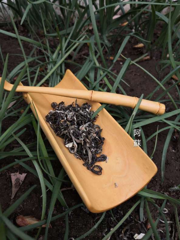 仿竹茶则(黄杨)