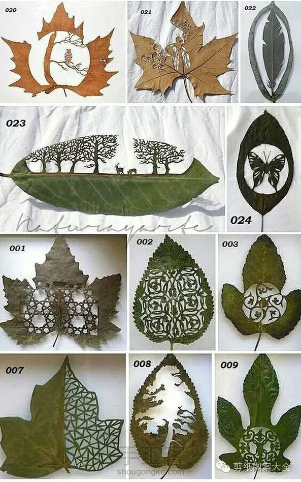 剪纸(转)