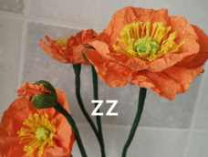 用皱纹纸做一朵与虞美人长的很像的罂粟花