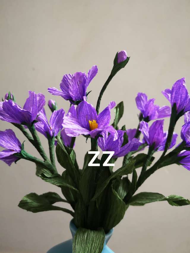 南庭芥是十字花科的小花，小小的紫色花儿精致漂亮。