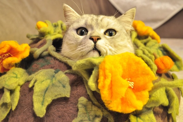 羊毛毡猫窝