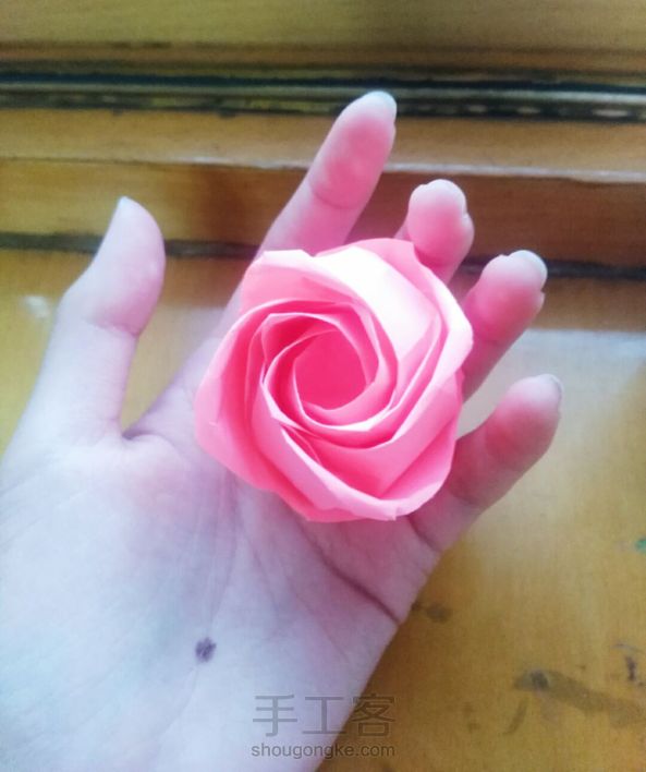 Belle玫瑰
