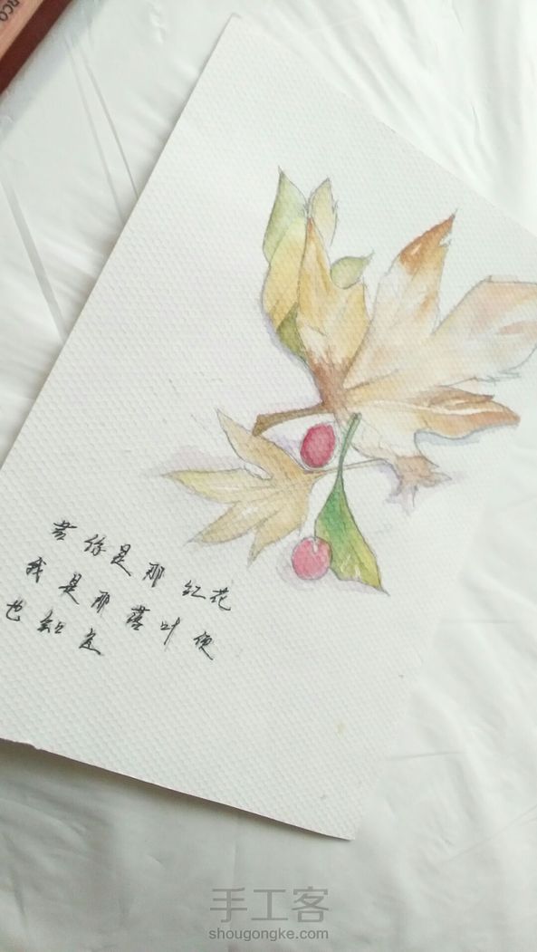 手绘插画。