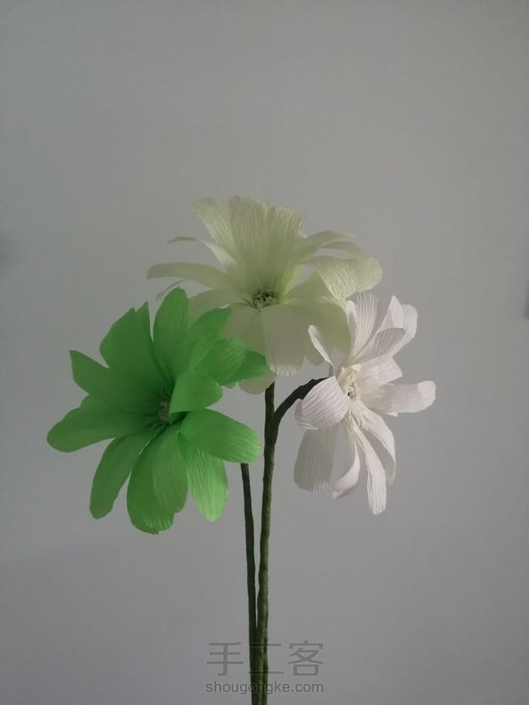 手工纸艺花~非洲菊