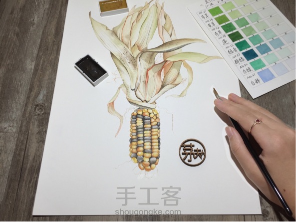 如何画一颗逼真的玉米？