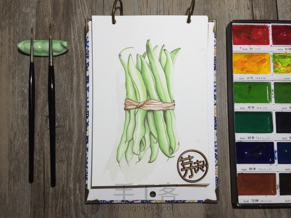 只需3步,零基础小白也能画出这捆四季豆!