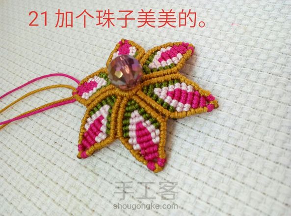 非洲菊~教程